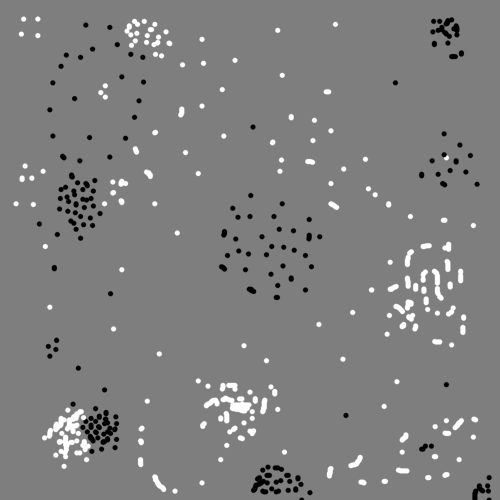 D Random Dots Test Set Data Txt Visualization Bmp